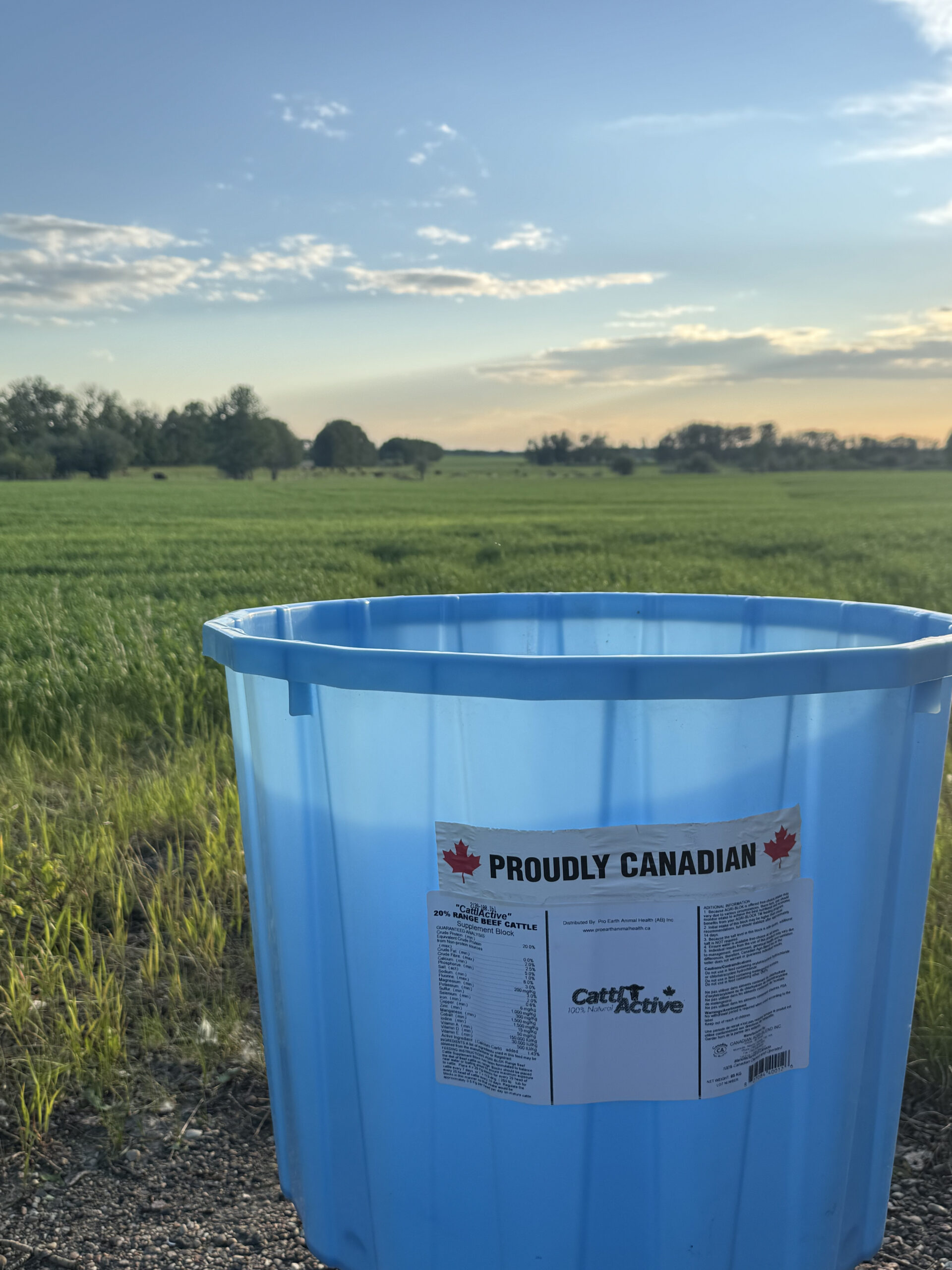 CattlActive® Lick Tubs