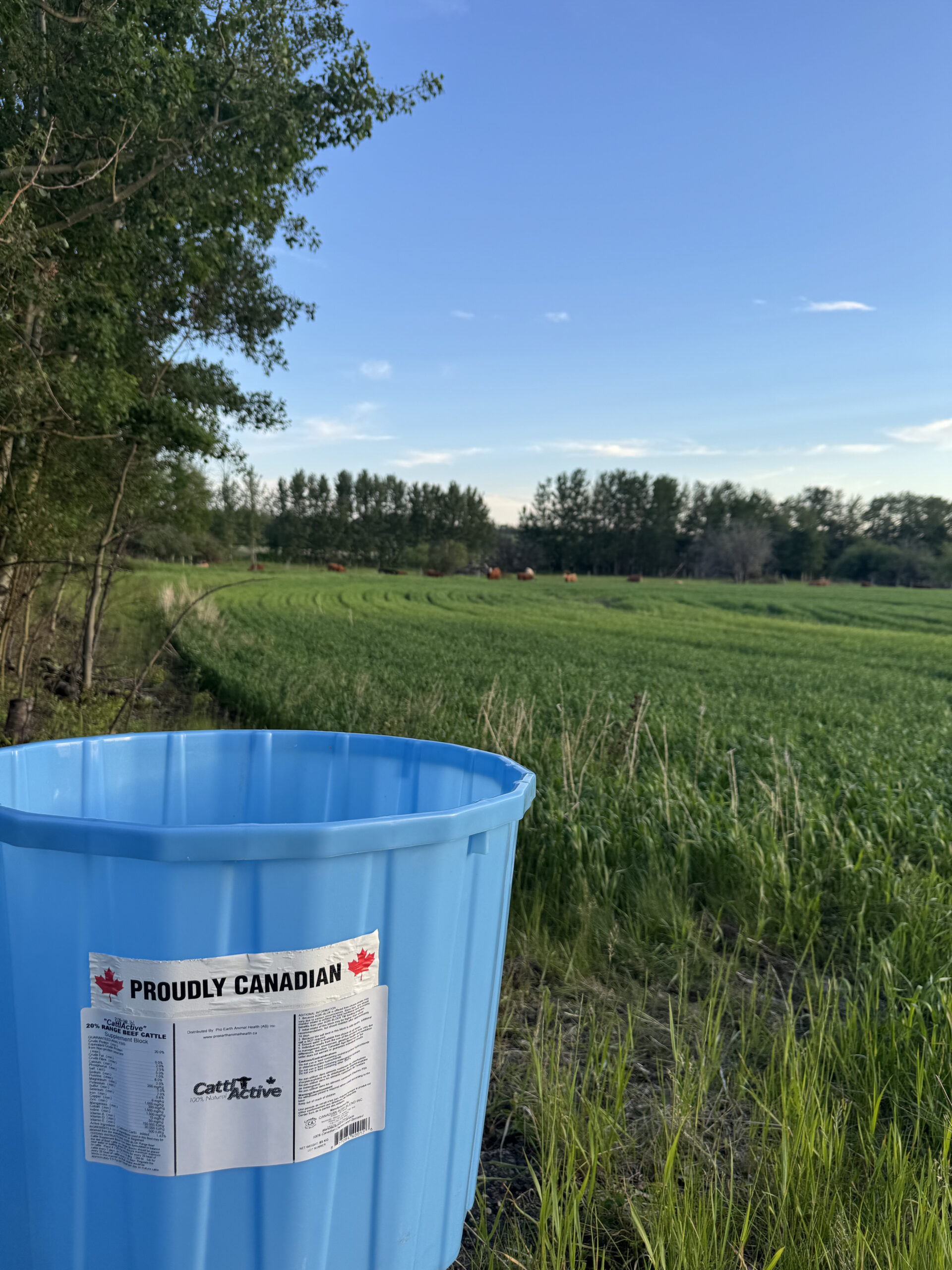 CattlActive® Lick Tubs - Image 3